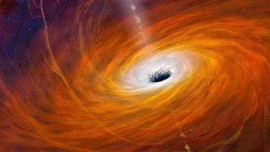 白矮星中子星物質已經不能用元素解釋，那麼黑洞裡面還有物質嗎？