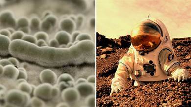 真菌拯救宇航員？宇宙輻射太厲害，科學家擬建真菌護盾