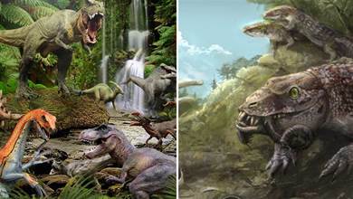 同樣是恐龍時代，侏羅紀和白堊紀有何不同？