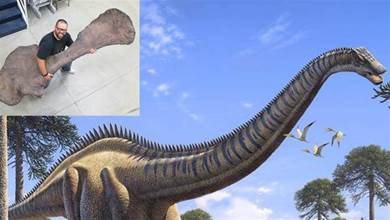 【史前文明】體長或可達42米！超龍最新體型資料，這是史上最大的恐龍嗎？