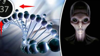 科學家在人類DNA中發現一些特別的東西，背後的真相會是什麼？