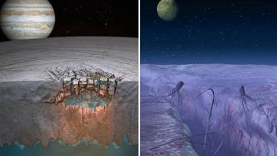 擁有噴泉的冰凍星球？歐羅巴一號看見的神秘生物，可能真的存在