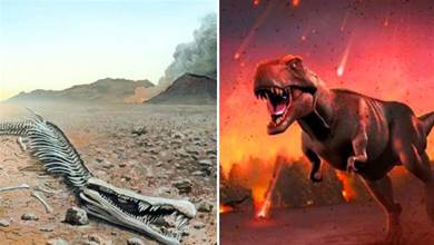 地球霸主恐龍為何會滅絕？專家分析墨西哥岩芯樣本，解開謎團