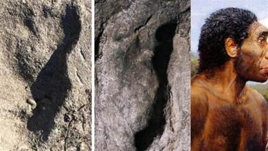 人類起源或被改寫？360萬年前的足跡化石，或來自未知的人族物種