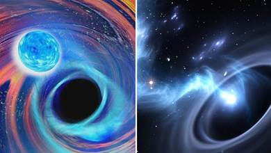 黑洞有多可怕？天文學家：宇宙物質總量的1%，已經被黑洞吞噬