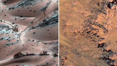 1999年，美國探測器拍到火星上有大樹？照片是真的，但不是大樹