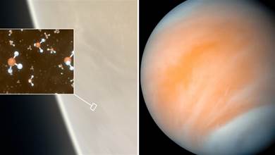 金星真能孕育生命？科學家發現關鍵物質，或許暗示著好消息