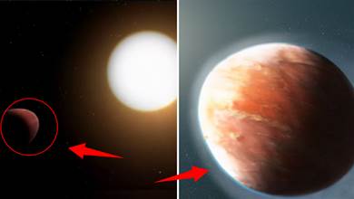 會有生命嗎？武仙座出現一顆「橄欖球」行星，歐洲航天局表示很奇怪