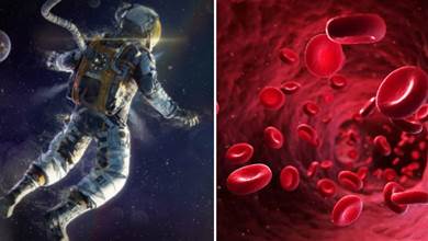 我們或永遠被困在地球？宇航員每秒鐘有300萬個紅細胞被破壞