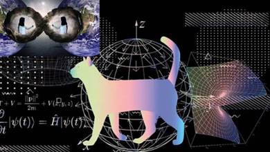 一隻貓證明了平行世界的存在，若沒有它，量子領域或許無人能突破