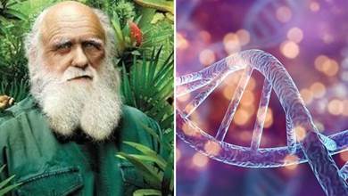 科學家：達爾文或錯了，人類演化並非隨機，可能朝著確定方向