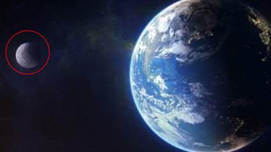 「地衛二」來了？太陽系發現一顆流浪小行星，默默陪伴地球1000年