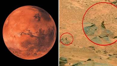 如果在火星上發現滅絕的生物，對人類來說意味著什麼？