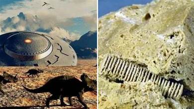 3億年前的一顆「螺絲」，鑲嵌在石塊中，揭開一個史前的巔峰時代