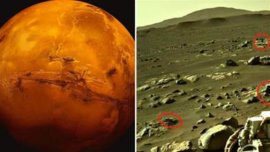 發現了什麼？UFO專家稱找到了「火星人」，NASA正在掩蓋真相
