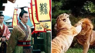 老虎和獅子誰更厲害？漢朝皇帝曾組織兩場獅虎鬥，結果完全一致