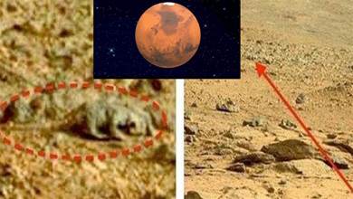 火星車很早就發現火星生命了？機遇號拍到「蜥蜴」，到底是什麼？