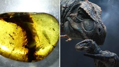 6年前，科學家發現唯一的恐龍肉身殘骸，恐龍復活或不是幻想