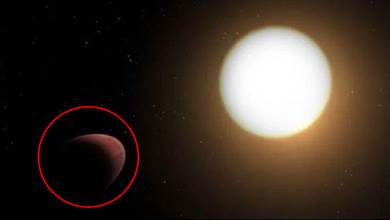 第一顆變形的行星，因恒星引力太強，行星形狀變成了「橄欖球」