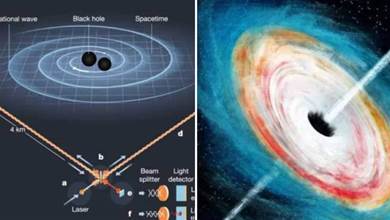 5個月發現35個引力波信號，科學家：宇宙天體碰撞比想象中殘酷