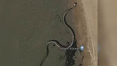 30米巨蛇骨架在谷歌地圖都可見，網友懷疑是泰坦蟒，真相是什麼？