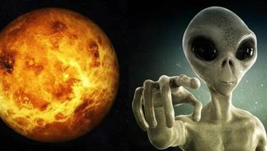 科學家推翻先前理論，研究表明金星的生命有可能存在