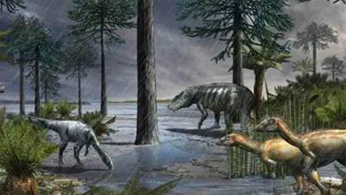 恐龍為何沒進化出智慧？百萬年的大雨把恐龍送上寶座：智慧是累贅