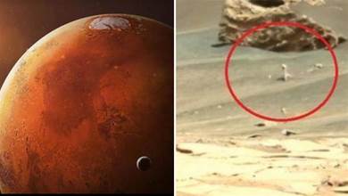 火星再現「生命物質」？形似白玫瑰芽，美宇航局依舊沉默