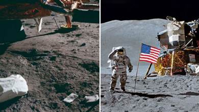 人類扔在月球上的96袋紙尿褲，過了半個世紀，成野生「實驗室」
