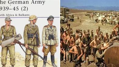 穿毛大衣到非洲打仗是什麼體驗？二戰德軍在線訴苦：去它的軍容軍貌！