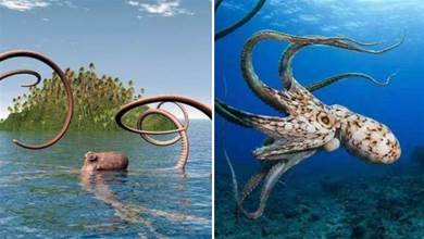 章魚的智商究竟有多高？為什麼許多科學家說章魚不是地球生物？
