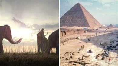 那些有趣的真實歷史事實，第一座金字塔建成時，猛犸還活著