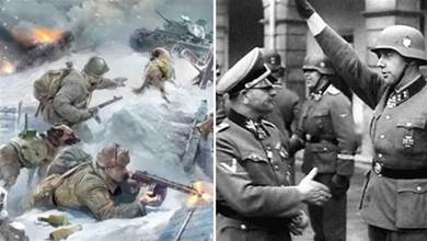 二戰時，德軍士兵在莫斯科大片凍死，他們為何不去搶當地百姓