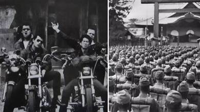 二戰結束，被遣返回國的日軍老兵與黑幫組織對抗，只為求得生存！