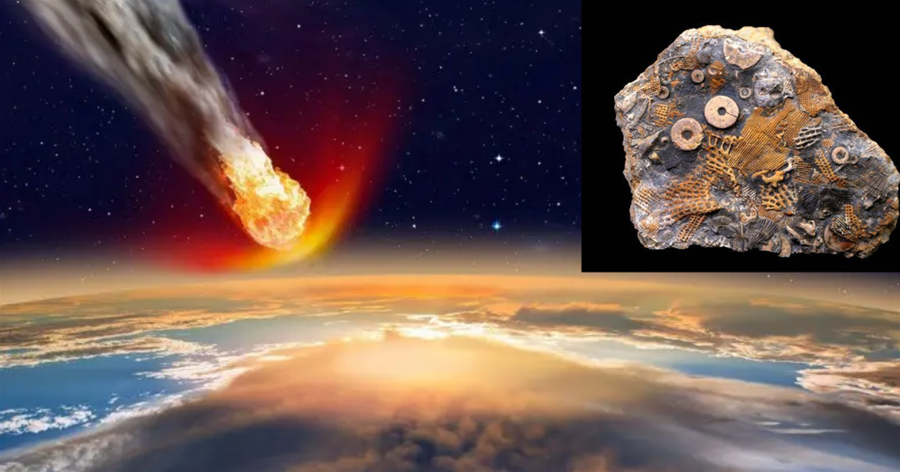 隕石中發現「螺絲釘」，并有3億年歷史？難道是外星人留下的痕跡
