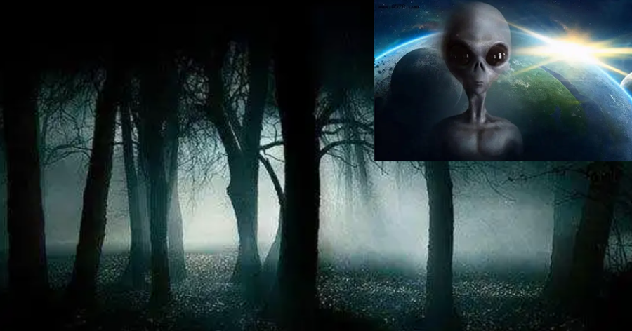 為什麼找不到外星人？一個比黑暗森林更可怕的理論，給出了解釋