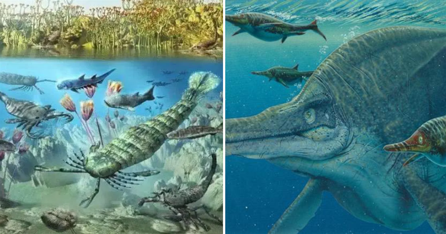 巨型海洋生物化石被發現，如果它們沒滅絕，人類不敢靠近海洋半步