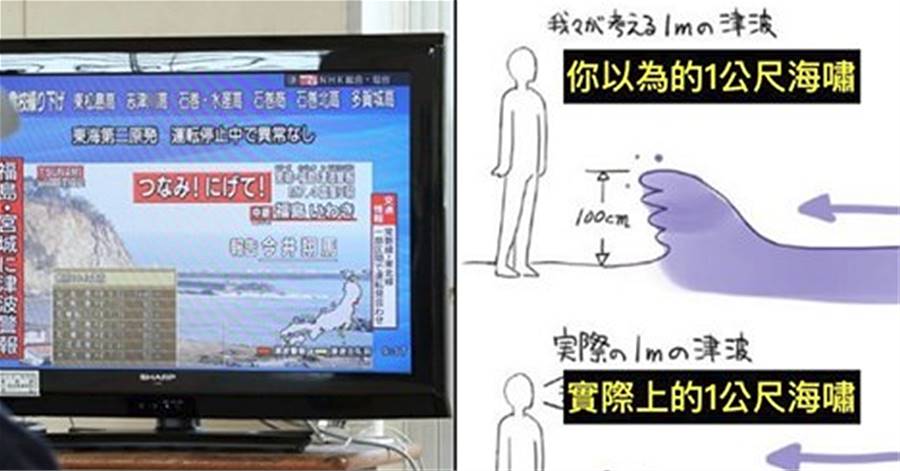 日本發警報「1公尺海嘯很可怕」遭網友嘲笑！實測影片「顛覆眾人觀念」網嚇：升天率100％