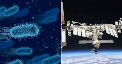 太空中的生命？國際空間站，發現奇異的微生物