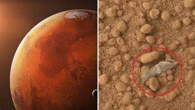 「好奇號」在火星拍到塑料薄膜，火星是否有文明，再招網友熱議