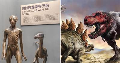 恐龍統治了地球1億7千萬年，卻沒進化成高等智慧生物，為什麼？