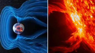 太陽有事情發生？專家預言卡靈頓事件將在2025年之前上演