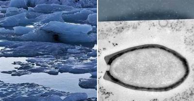 科學家警告：溫室效應導致冰川融化，可能釋放出巨型病毒DNA？