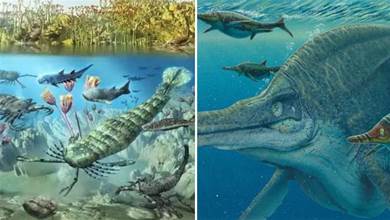 巨型海洋生物化石被發現，如果它們沒滅絕，人類不敢靠近海洋半步