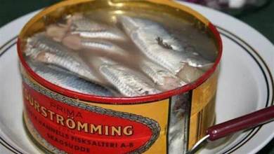 為什麼鯡魚罐頭這麼難吃，每年還是要大量生產？