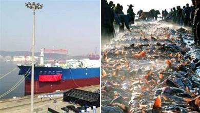 為了養魚，中國造了艘比遼寧號還大一倍的巨輪，產魚量堪比查干湖