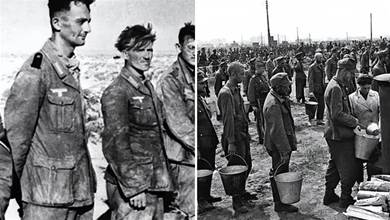 二戰美國萊茵戰俘營：四個月餓殺百萬德軍戰俘？這是真的嗎？