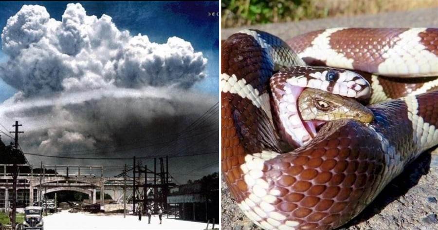 34張活久未見的照片，原子彈爆炸15分鐘後，長崎上空升起原子雲