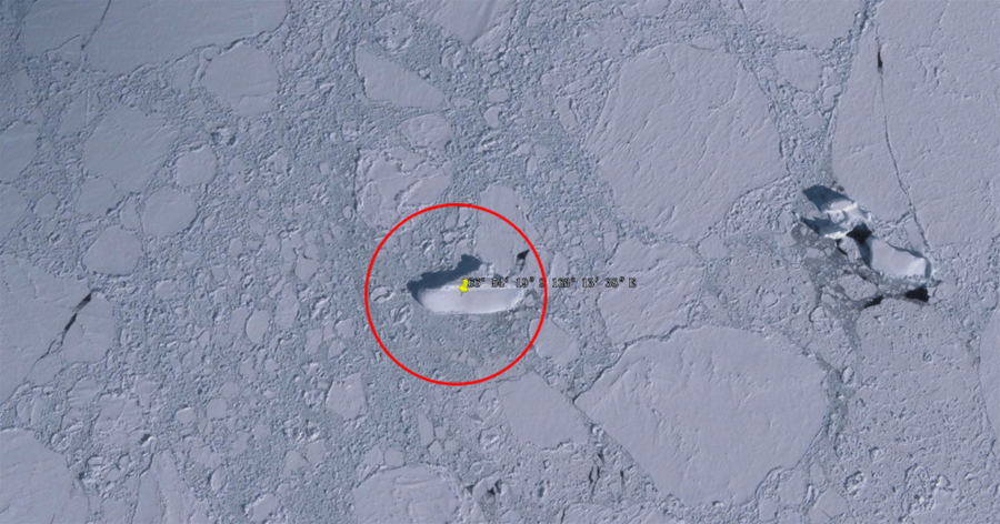 南極洲海岸發現神秘「冰船」網友：來自納粹秘密基地