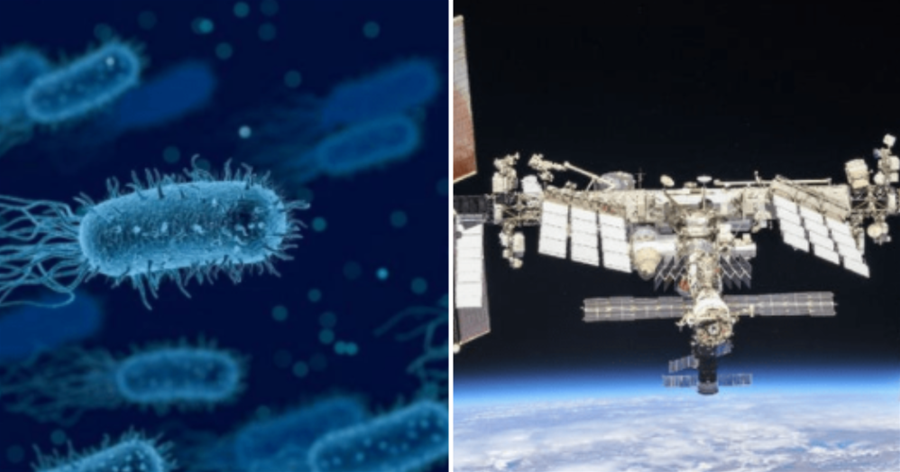 太空中的生命？國際空間站，發現奇異的微生物